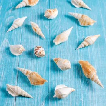 रोजाना शंख बजाने के फायदे, जानें सबकुछ